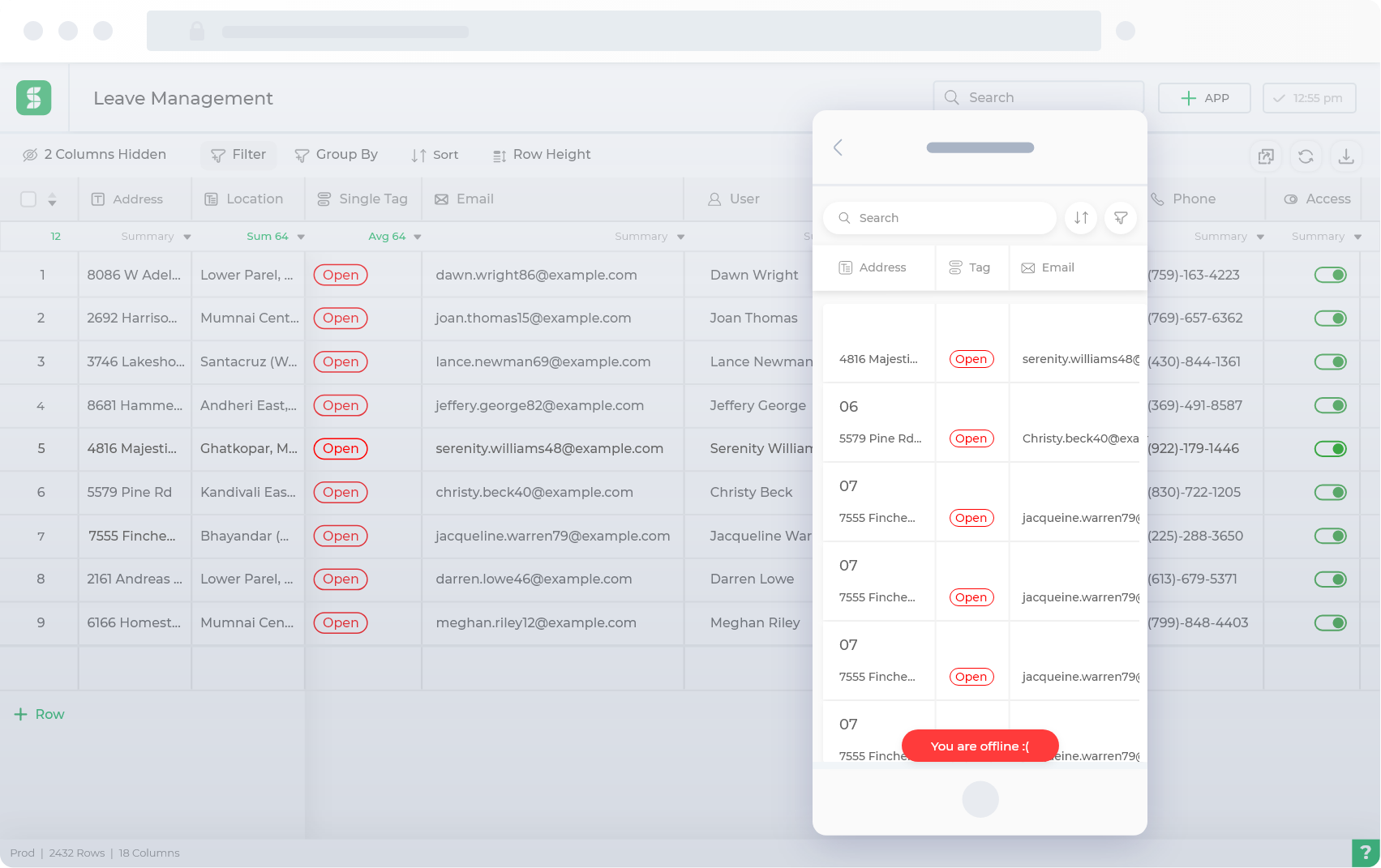 Offline Data on mobile app
